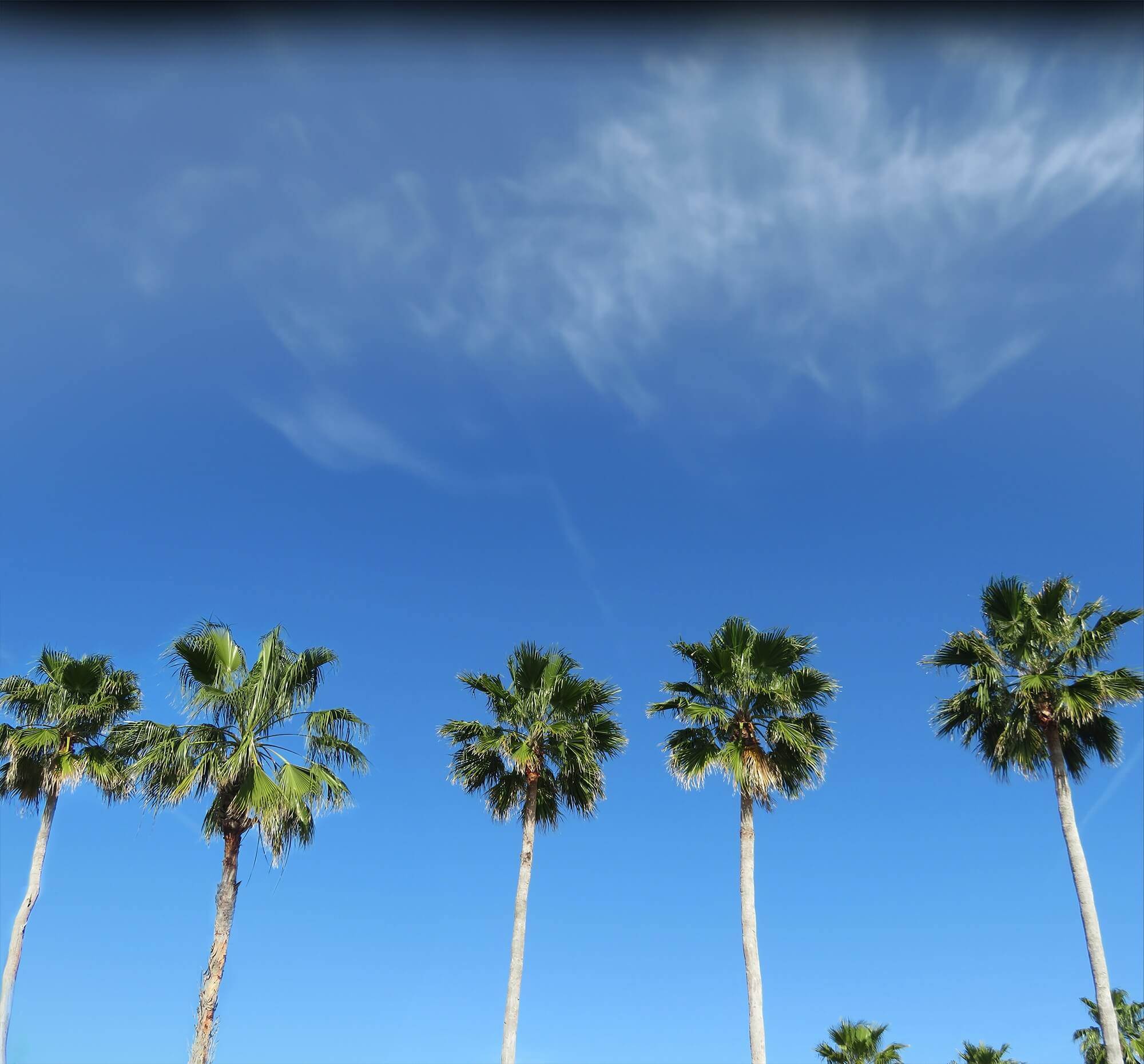 How We Compare San Diego s Favorite Portable Storage